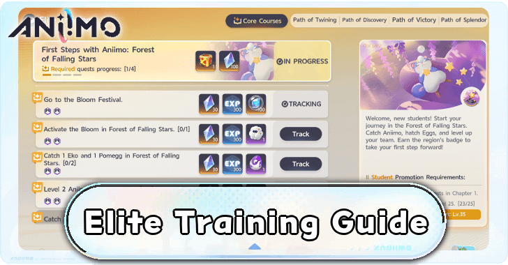 Elite Training Guide