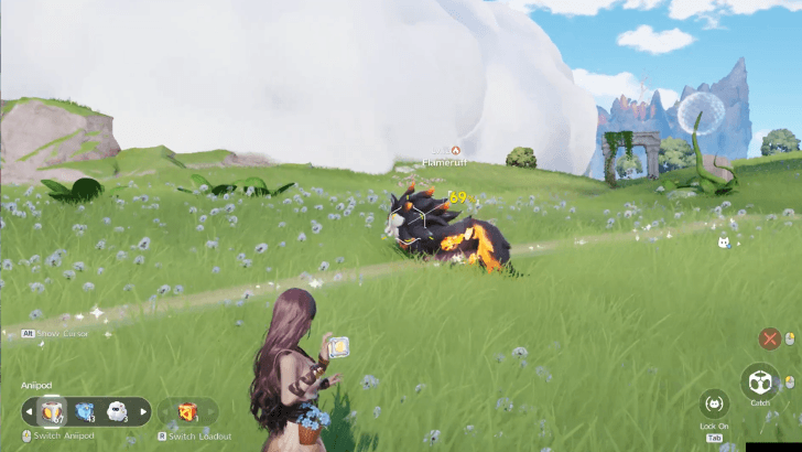 Catch the Aniimo