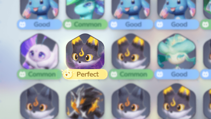 Perfect Potential Umbral