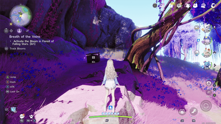 Forest of Falling Stars Chest 20