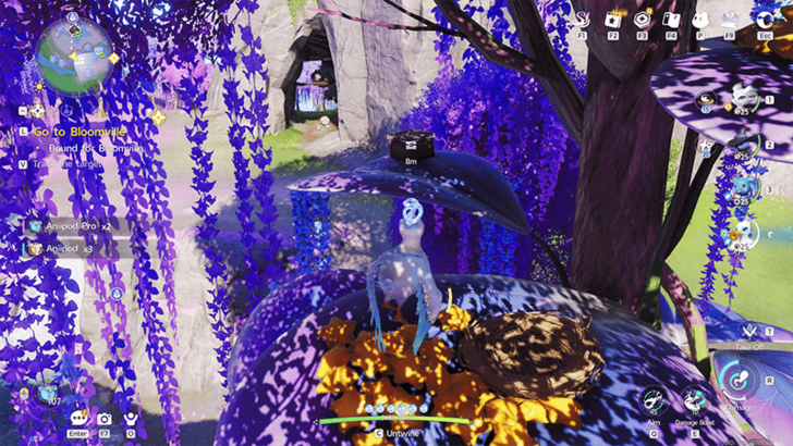 Forest of Falling Stars Chest 14