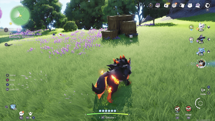 Forest of Falling Stars Chest 24