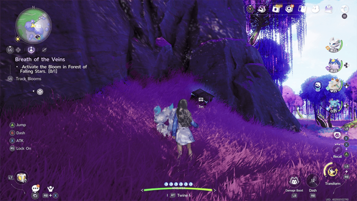 Forest of Falling Stars Chest 12