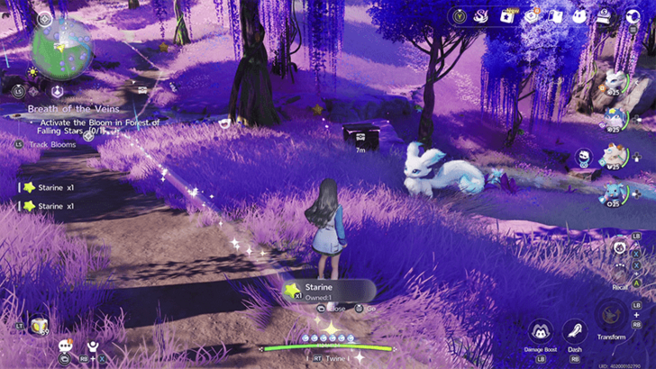 Forest of Falling Stars Chest 22
