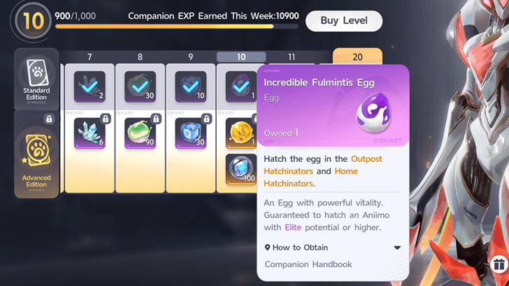 Companion Handbook Level 10