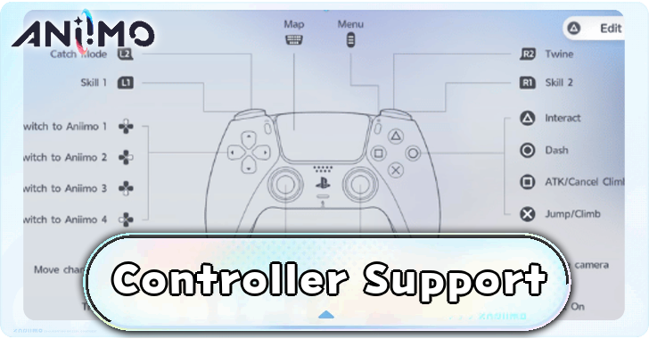 Controller Support