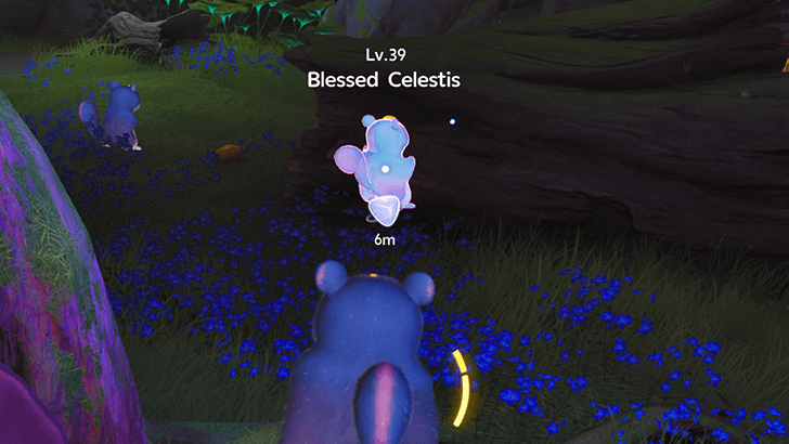 Blessed Aniimo