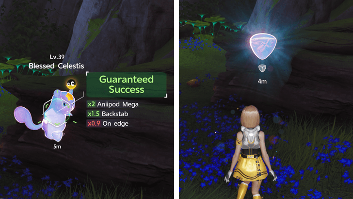 How to Catch Blessed Aniimo