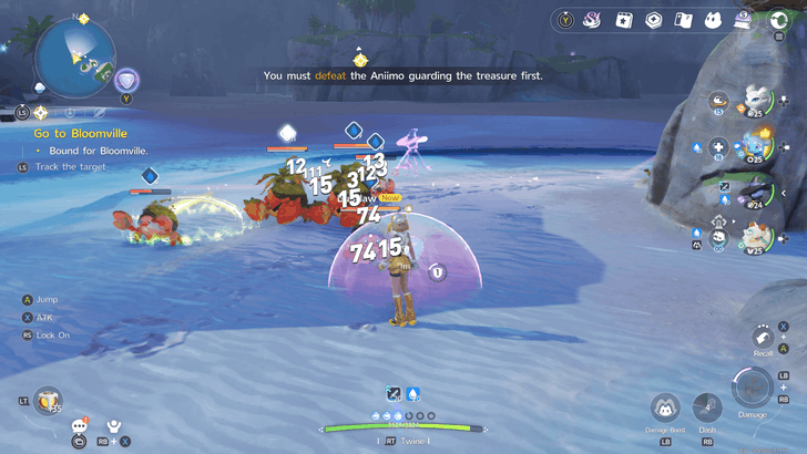 Combat in Aniimo