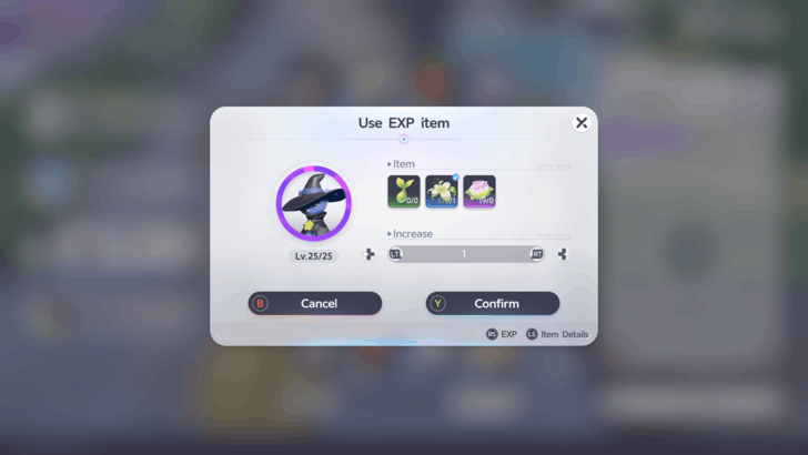 EXP Items
