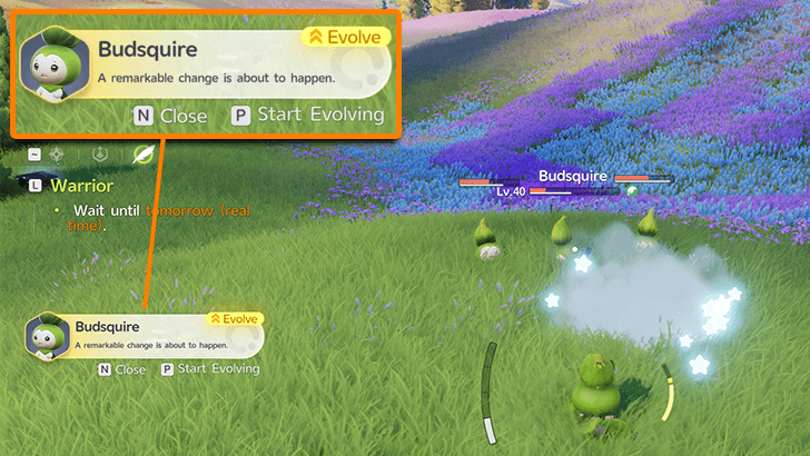 Budsquire Evolution