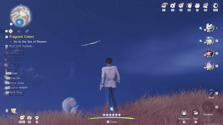 Shooting Stars