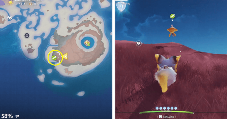 Bulbsy Location