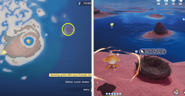 Find Treasures of the Sea and Where to Find Them V