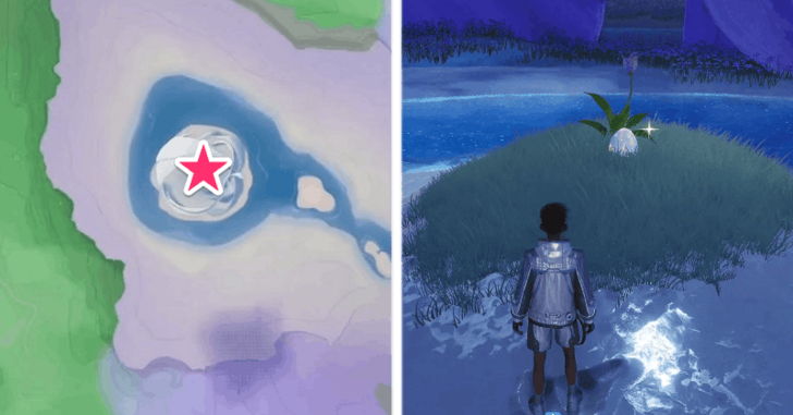 Prismana Iris Egg Location