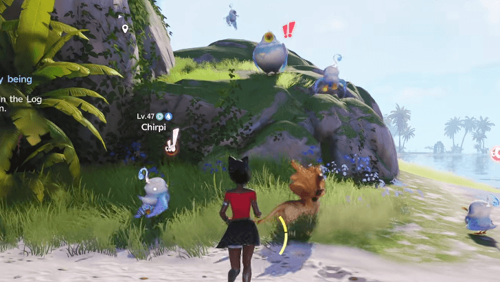 Beach Tubster World View