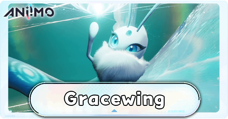 Gracewing Builds