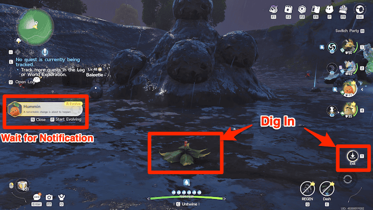 Mountain Hummin Evolution World