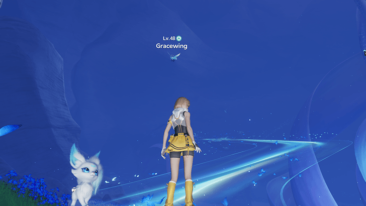 Gracewing World View