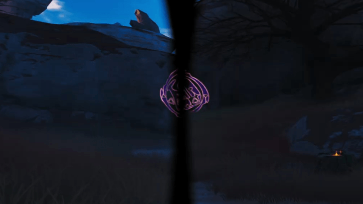 Bilateral Vision