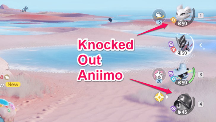Knocked Out Aniimo