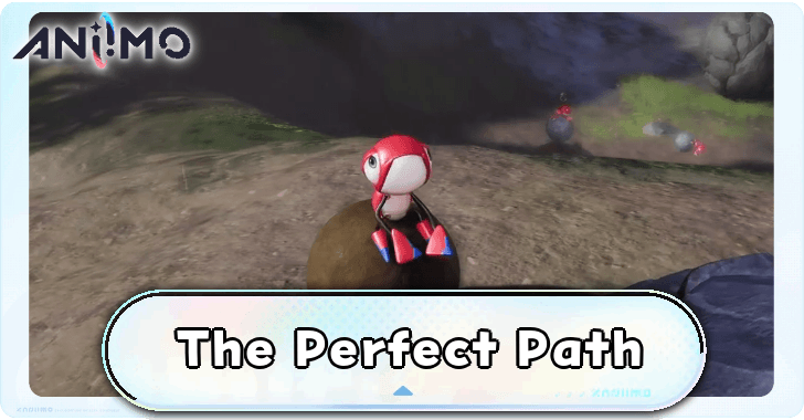 The Perfect Path Walkthrough