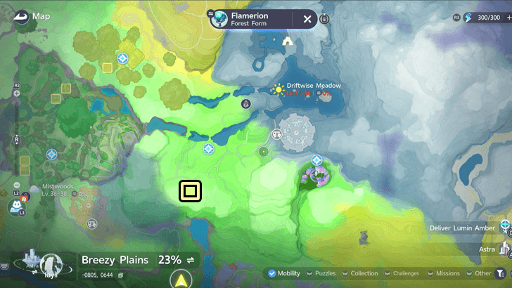 Forest Flamerion