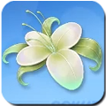 Growth Flower
