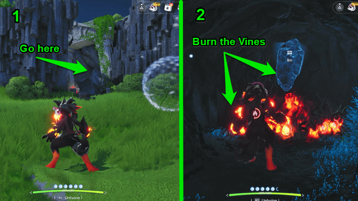 Go Past the Cave Explorer and Burn the Vines