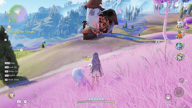 Ruins of Flowers