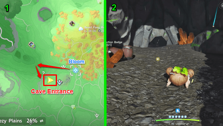 Go West of the Beast Fang Ridge Bloom