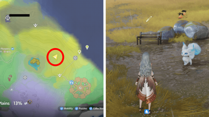 Bench Location
