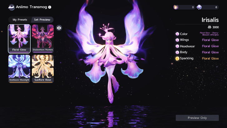 Visual Customization System