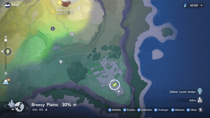Flowers and Thorns Rosetower Wood Map