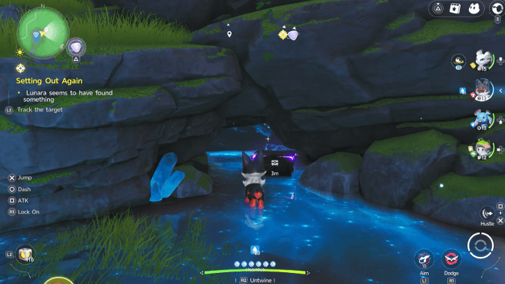 Chests