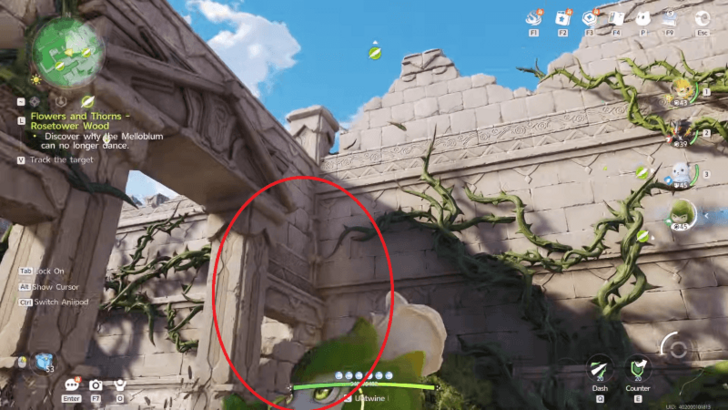 Climb the Wall