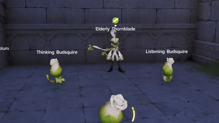 Elderly Thornblade