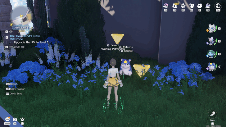 Collect Voxel Coins