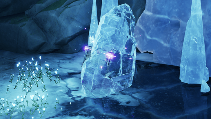 Beast Fang Ridge Chest 5