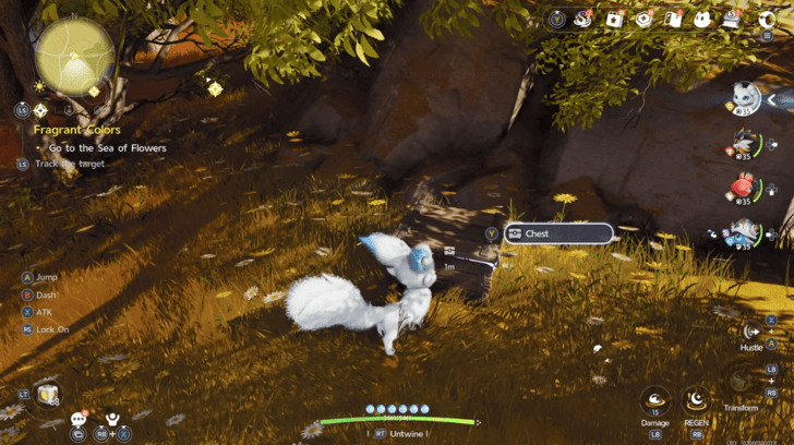 Russet Highlands Chest 9