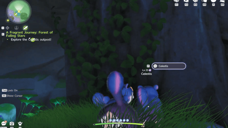 Climb Up the Rock Behind Tree