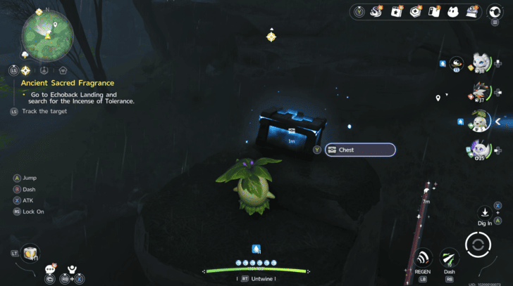 Mistwoods Chest 6