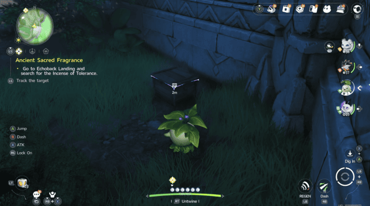 Mistwoods Chest 20