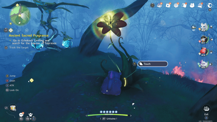 Mistwoods Chest 4