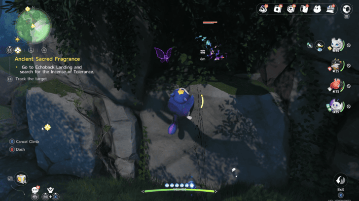 Mistwoods Chest 10