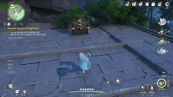 Mistwoods Chest 14
