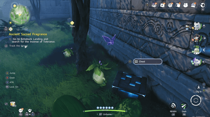 Mistwoods Chest 11