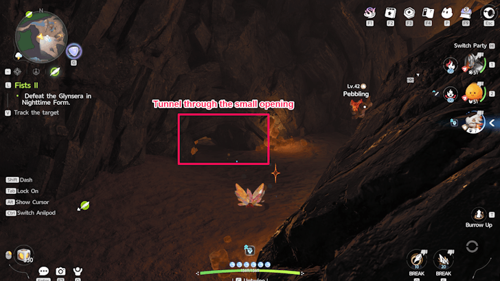 Tunnel Into the Central Cave