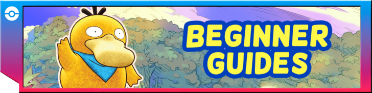 Beginner Guides