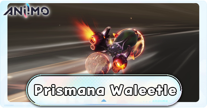 Prismana Waleetle Builds